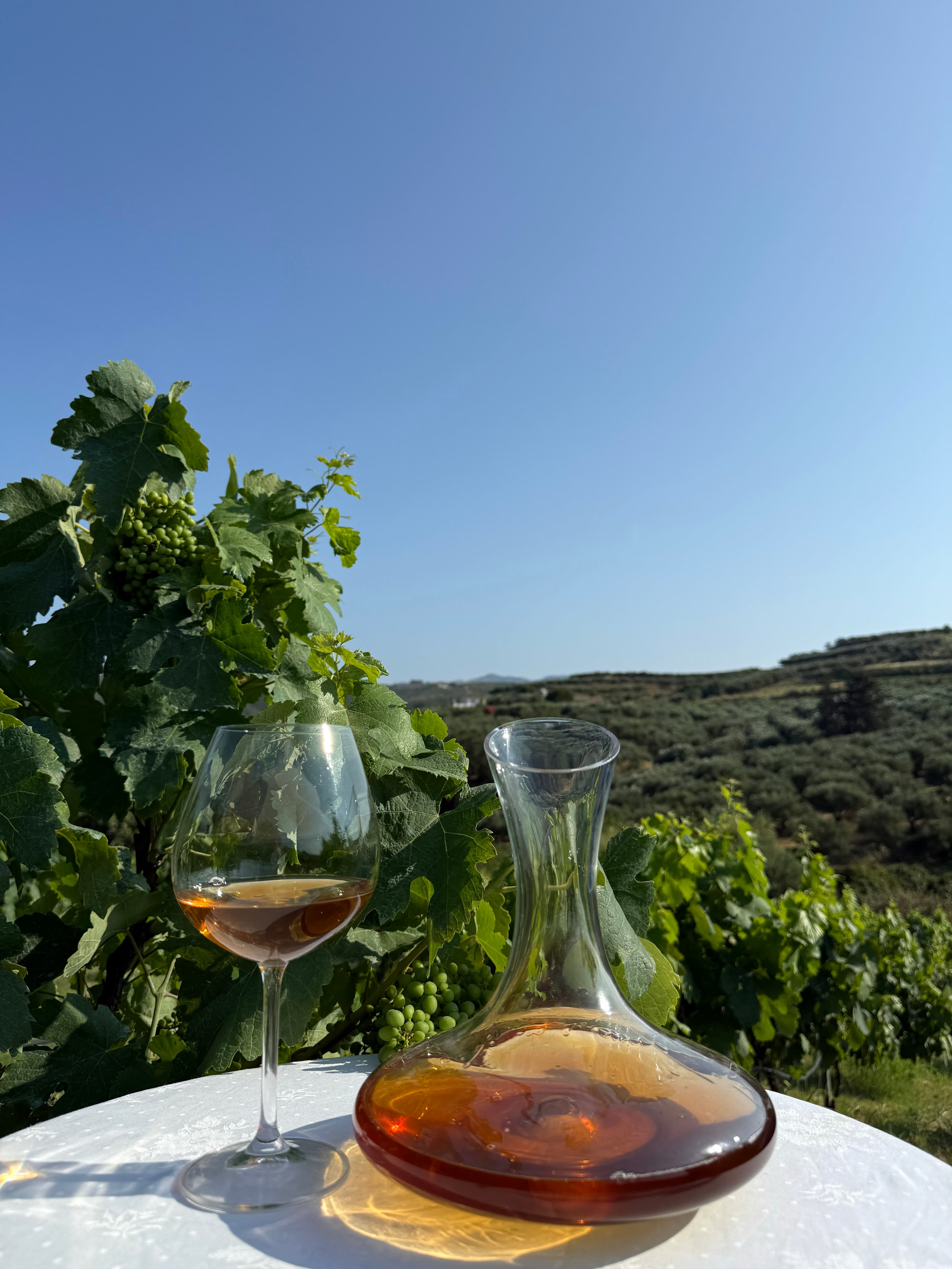 Wine Decanting Process