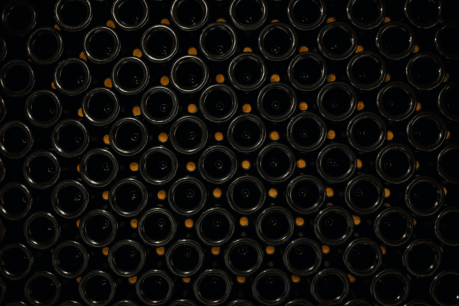 Vineyard background