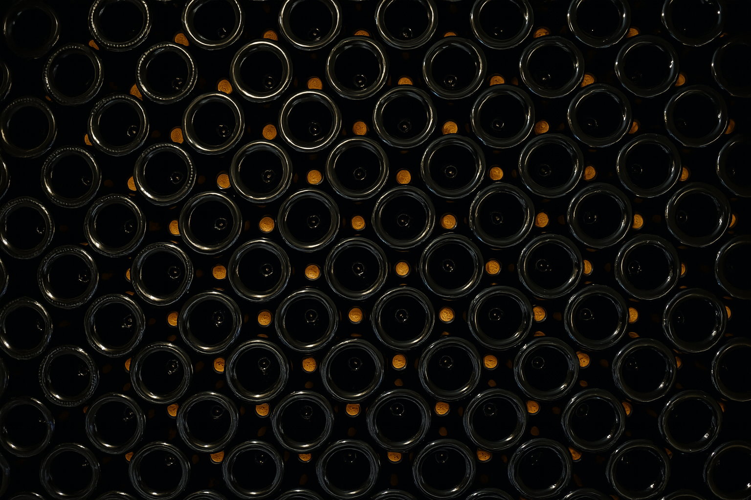 Vineyard background